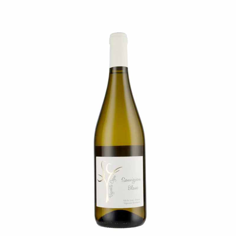 2024 Sauvignon Blanc IGP Loire Domaine Vignoble Cogné