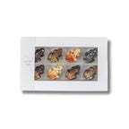 xocolatl tipsy frogs chokolade frøer alkohol drinks