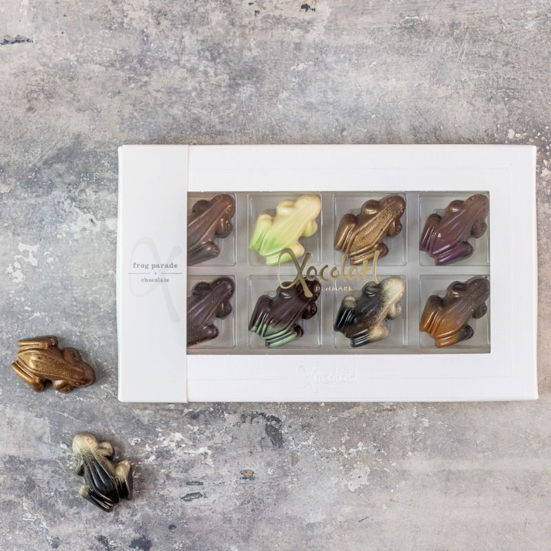 xocolatl frog parade chokolade chokoladefrøer frøer 