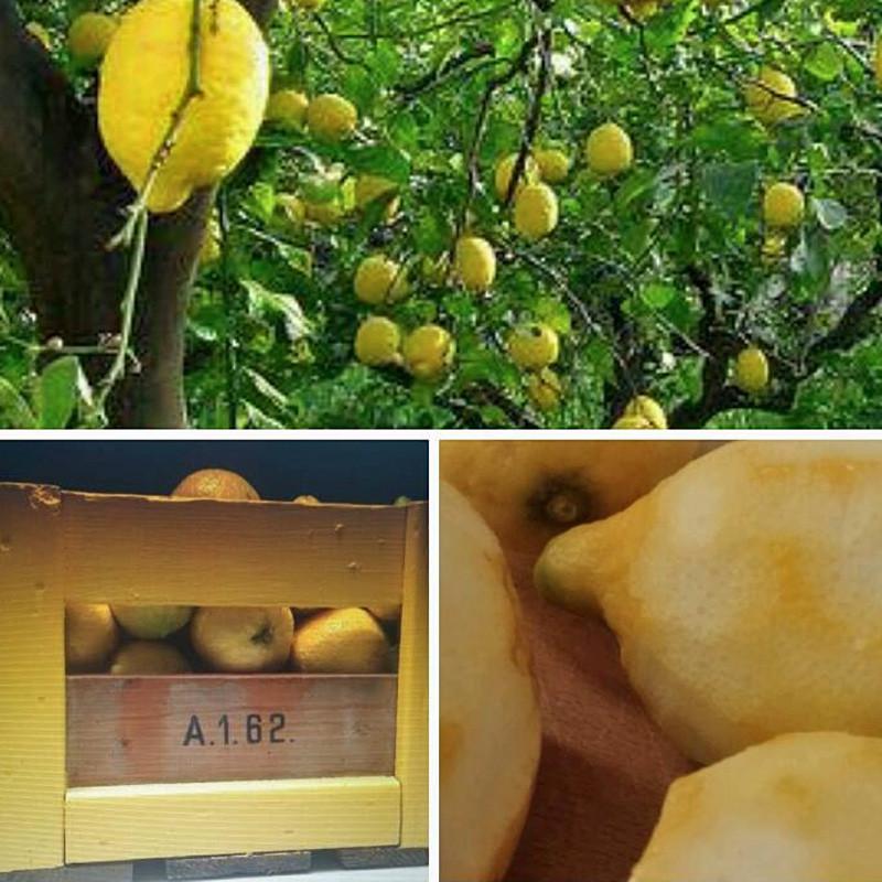 Njord Gin - United Natures