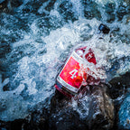 SNAPS BORNHOLM - № 4 Hindbær, Ingefær & Granatæble 40% 50 cl.