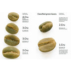 Farm Mountain - Black Gold