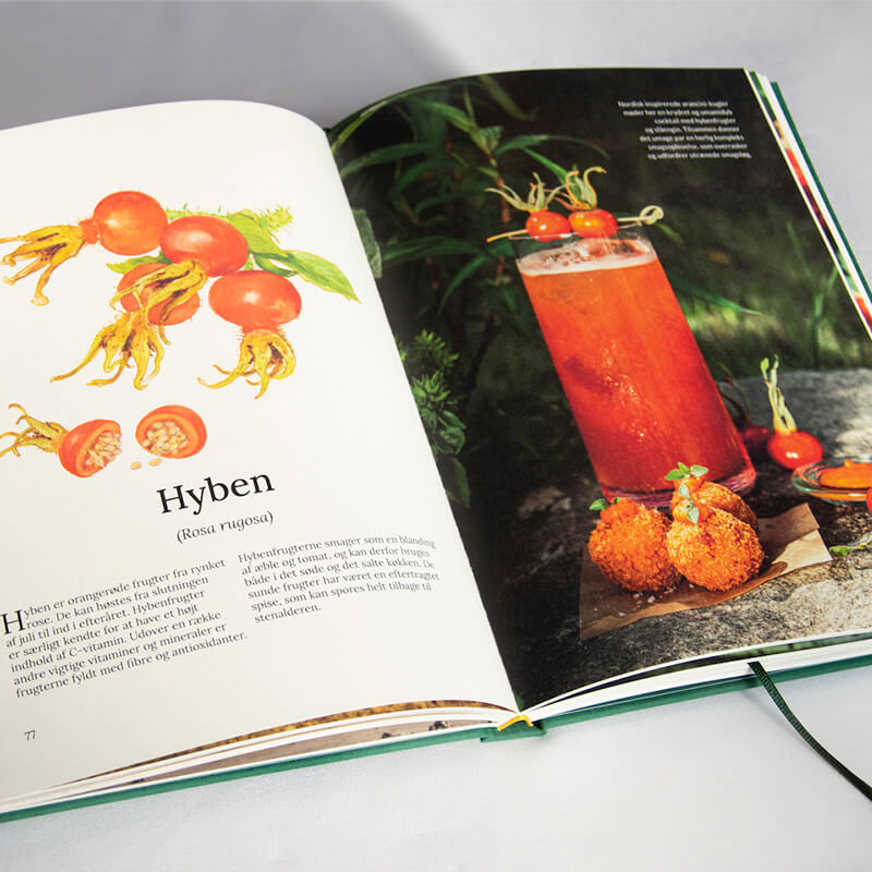 njord christopher stephanie bog