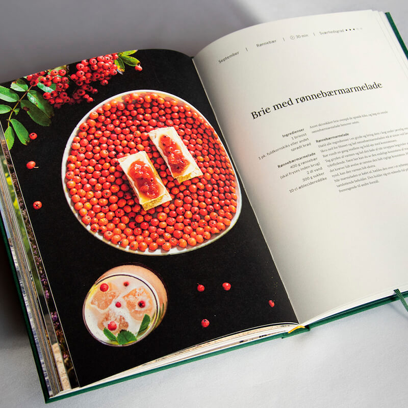 cocktailbog njord gin