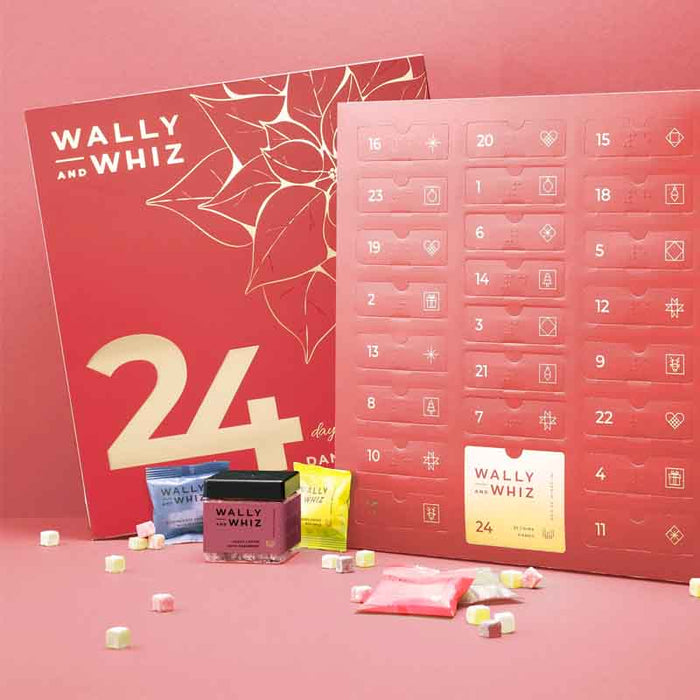 Wally and Whiz – Julekalender (2024)