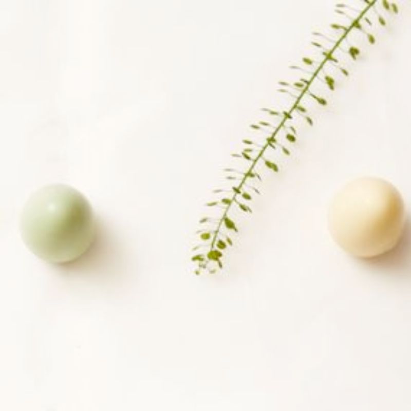 Aalborg Chokoladen - Påskeæske m. 7 Vagtelæg