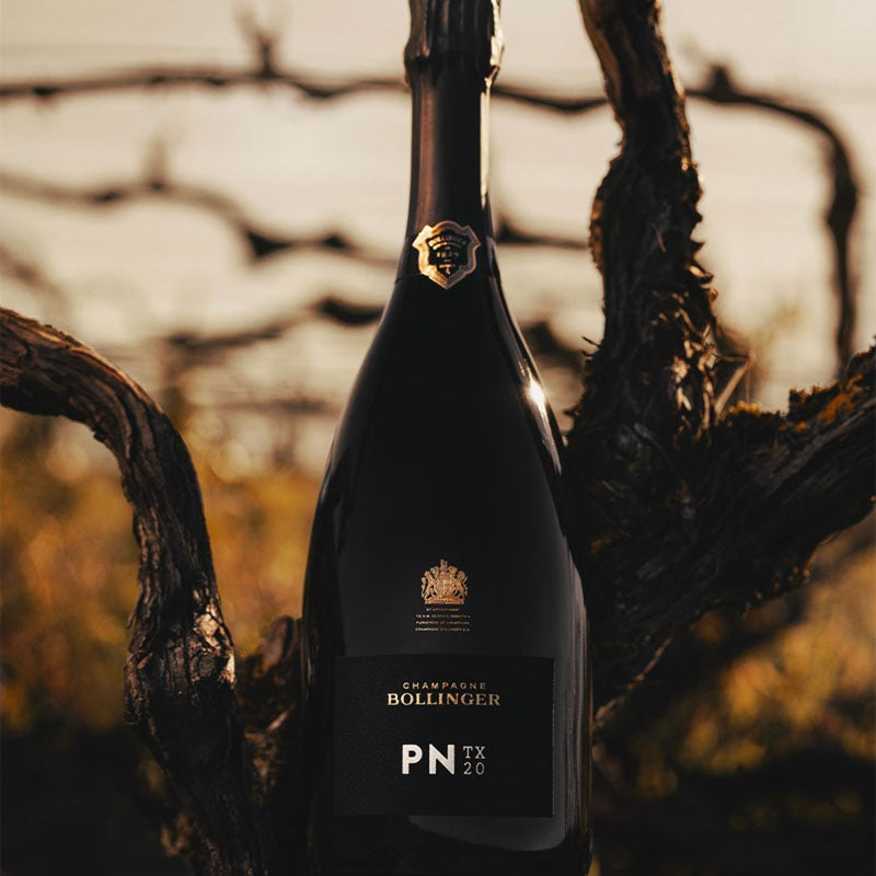 BOLLINGER - PNTX20 Champagne
