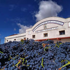 Bodega Viña Valera - Reserva 2024